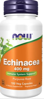 Echinacea Now