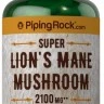  Lion`s Mane Mushroom PipingRock