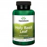 Holy Basil Leaf