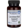 Lactobacillus Gasseri Probiotics