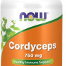Cordyceps Now