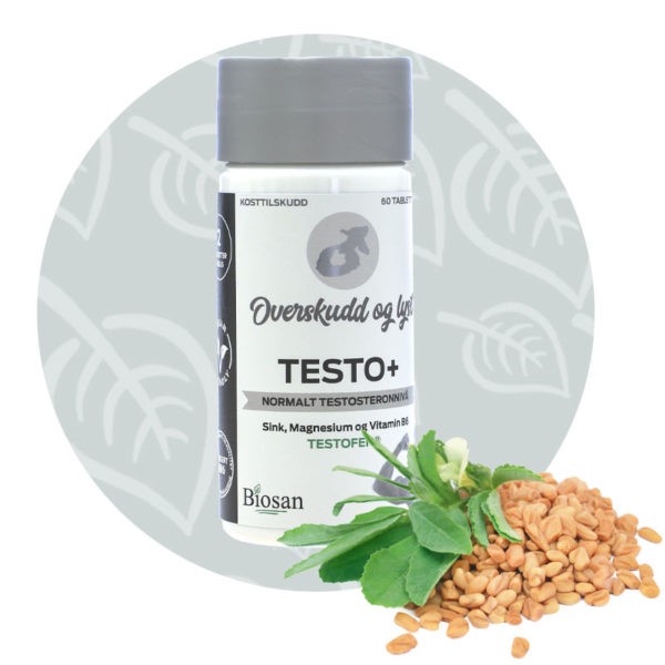 Testo+