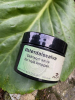 Neo Østerdalssalva