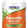 Boswellia Extract Now