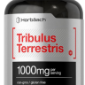 Tribulus Terrestris