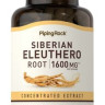 Siberian Eleuthero Root
