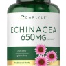 Echinacea Carlyle