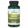 Reishi Mushroom 60