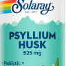 Psyllium Husk