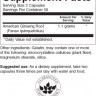 american ginseng3bc.jpg american ginseng3bc.jpg