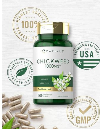 Carlyle Chickweed 