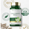 Carlyle Chickweed 