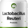 Lactobacillus Reuteri