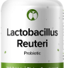 Lactobacillus Reuteri