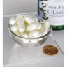 L-Lysine Free-Form 