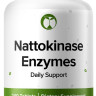 Nattokinase Enzymes