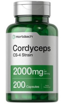 Cordyceps Sinensis